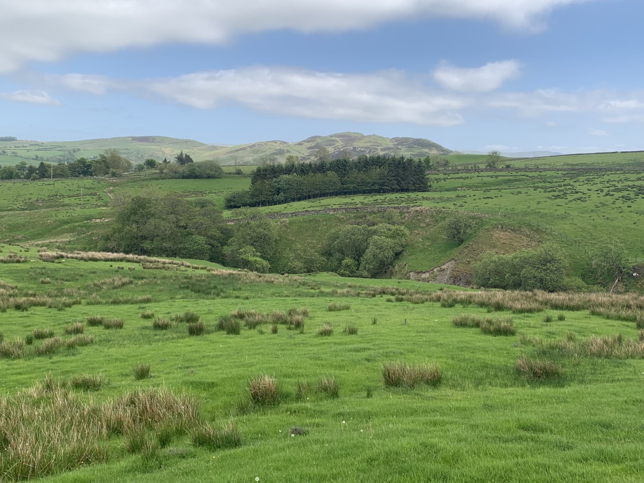 Land at Matterdale - For Sale by Public Auction